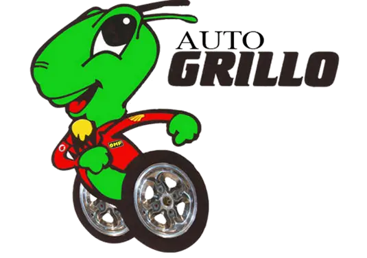 Auto Grillo